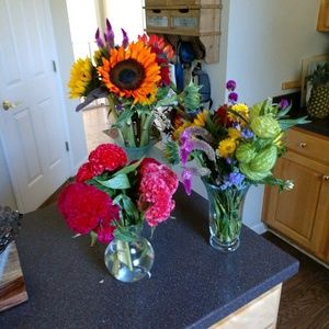 Meet your Posher, Sonya